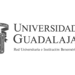 udgblack-01